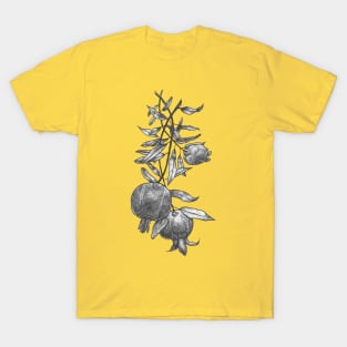 Pomegranate Cascade T-Shirt